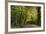 Autumn Trees in Hampstead Heath-Natalie Tepper-Framed Photographic Print