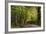 Autumn Trees in Hampstead Heath-Natalie Tepper-Framed Photographic Print