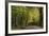 Autumn Trees in Hampstead Heath-Natalie Tepper-Framed Photographic Print