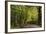 Autumn Trees in Hampstead Heath-Natalie Tepper-Framed Photographic Print