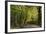 Autumn Trees in Hampstead Heath-Natalie Tepper-Framed Photographic Print