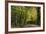 Autumn Trees in Hampstead Heath-Natalie Tepper-Framed Photographic Print