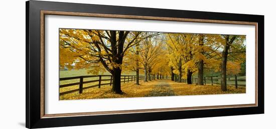 Autumn Trees Near Waynesboro Virginia USA-null-Framed Photographic Print