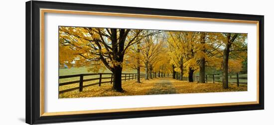 Autumn Trees Near Waynesboro Virginia USA-null-Framed Photographic Print