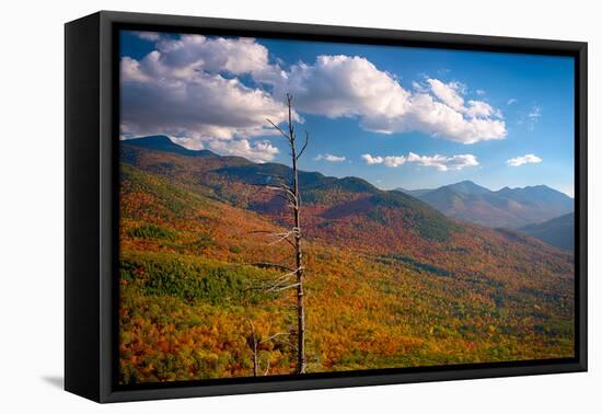 Autumn trees on mountain, Baxter Mountain, Adirondack Mountains State Park, New York State, USA-null-Framed Premier Image Canvas