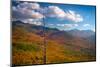 Autumn trees on mountain, Baxter Mountain, Adirondack Mountains State Park, New York State, USA-null-Mounted Photographic Print