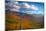 Autumn trees on mountain, Baxter Mountain, Adirondack Mountains State Park, New York State, USA-null-Mounted Photographic Print