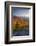 Autumn trees on mountain, Baxter Mountain, Adirondack Mountains State Park, New York State, USA-null-Framed Photographic Print