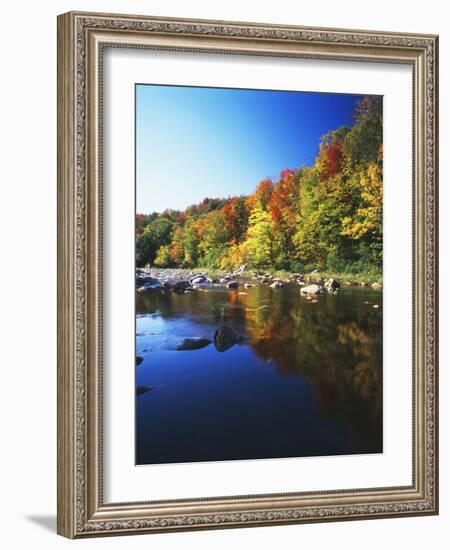 Autumn Trees Reflected in Deerfield River, Vermont, USA-Adam Jones-Framed Photographic Print