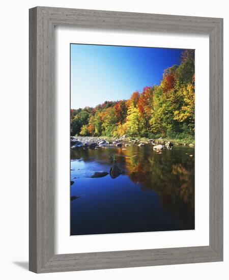 Autumn Trees Reflected in Deerfield River, Vermont, USA-Adam Jones-Framed Photographic Print