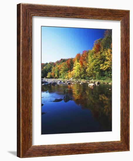 Autumn Trees Reflected in Deerfield River, Vermont, USA-Adam Jones-Framed Photographic Print