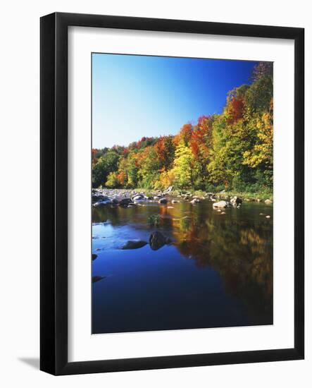 Autumn Trees Reflected in Deerfield River, Vermont, USA-Adam Jones-Framed Photographic Print