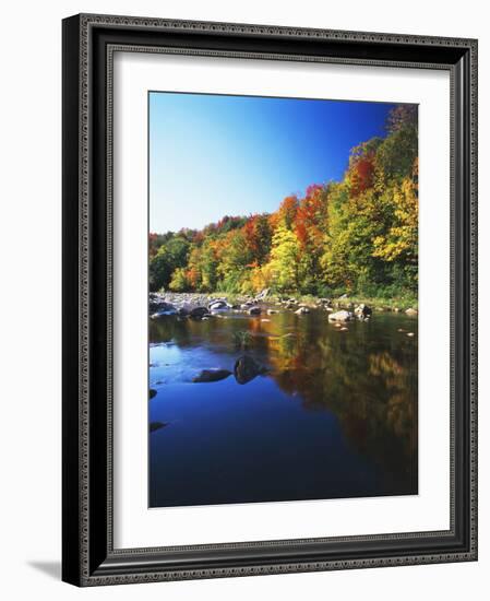 Autumn Trees Reflected in Deerfield River, Vermont, USA-Adam Jones-Framed Photographic Print