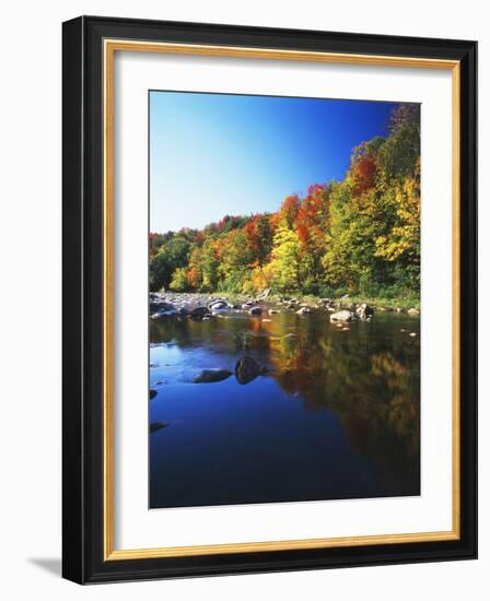 Autumn Trees Reflected in Deerfield River, Vermont, USA-Adam Jones-Framed Photographic Print