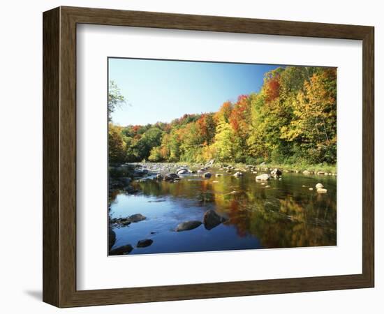 Autumn Trees Reflected in Deerfield River, Vermont, USA-Adam Jones-Framed Photographic Print