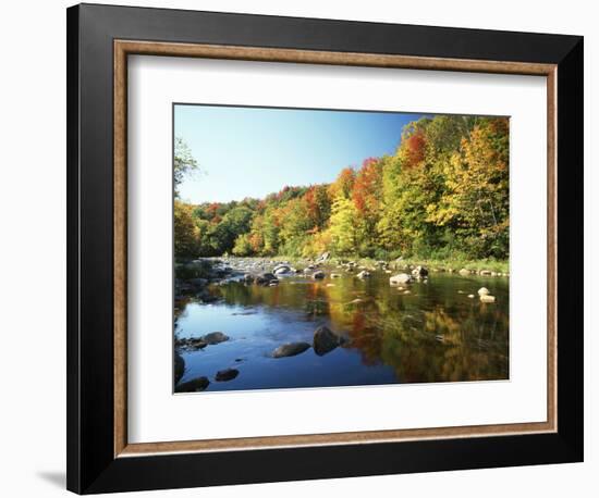 Autumn Trees Reflected in Deerfield River, Vermont, USA-Adam Jones-Framed Photographic Print