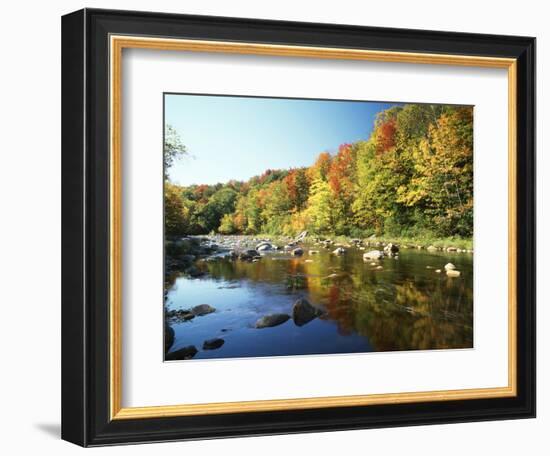 Autumn Trees Reflected in Deerfield River, Vermont, USA-Adam Jones-Framed Photographic Print