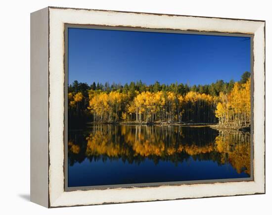 Autumn Trees Reflecting in Lake, Flatiron Lake, Dixie National Forest, Utah, USA-Scott T^ Smith-Framed Premier Image Canvas