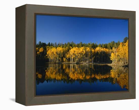 Autumn Trees Reflecting in Lake, Flatiron Lake, Dixie National Forest, Utah, USA-Scott T^ Smith-Framed Premier Image Canvas
