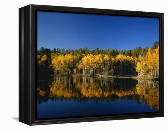 Autumn Trees Reflecting in Lake, Flatiron Lake, Dixie National Forest, Utah, USA-Scott T^ Smith-Framed Premier Image Canvas