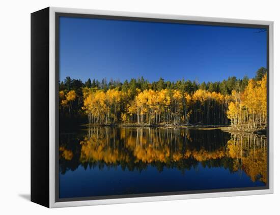 Autumn Trees Reflecting in Lake, Flatiron Lake, Dixie National Forest, Utah, USA-Scott T^ Smith-Framed Premier Image Canvas