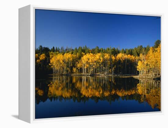 Autumn Trees Reflecting in Lake, Flatiron Lake, Dixie National Forest, Utah, USA-Scott T^ Smith-Framed Premier Image Canvas