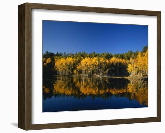 Autumn Trees Reflecting in Lake, Flatiron Lake, Dixie National Forest, Utah, USA-Scott T^ Smith-Framed Photographic Print