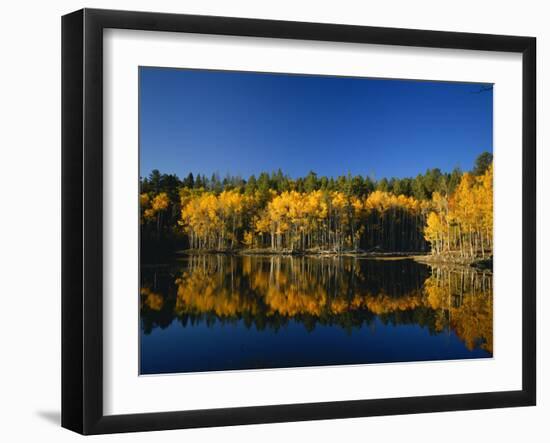 Autumn Trees Reflecting in Lake, Flatiron Lake, Dixie National Forest, Utah, USA-Scott T^ Smith-Framed Photographic Print