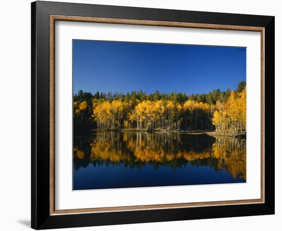 Autumn Trees Reflecting in Lake, Flatiron Lake, Dixie National Forest, Utah, USA-Scott T^ Smith-Framed Photographic Print