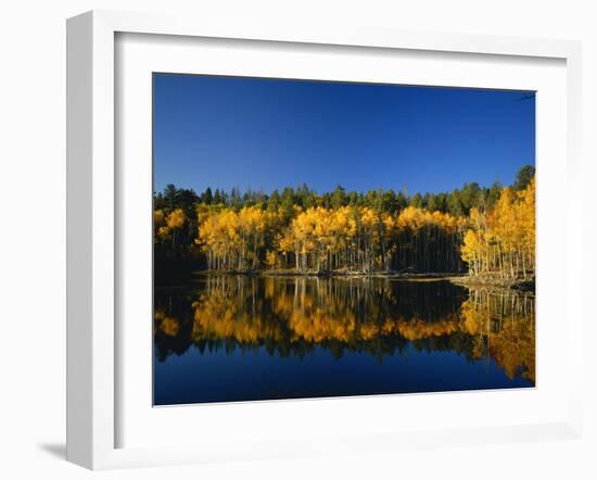 Autumn Trees Reflecting in Lake, Flatiron Lake, Dixie National Forest, Utah, USA-Scott T^ Smith-Framed Photographic Print