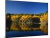 Autumn Trees Reflecting in Lake, Flatiron Lake, Dixie National Forest, Utah, USA-Scott T^ Smith-Mounted Photographic Print