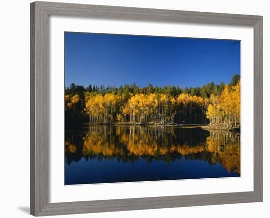 Autumn Trees Reflecting in Lake, Flatiron Lake, Dixie National Forest, Utah, USA-Scott T^ Smith-Framed Photographic Print