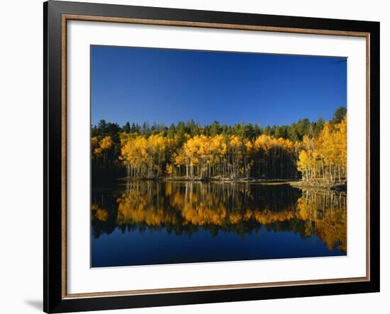 Autumn Trees Reflecting in Lake, Flatiron Lake, Dixie National Forest, Utah, USA-Scott T^ Smith-Framed Photographic Print