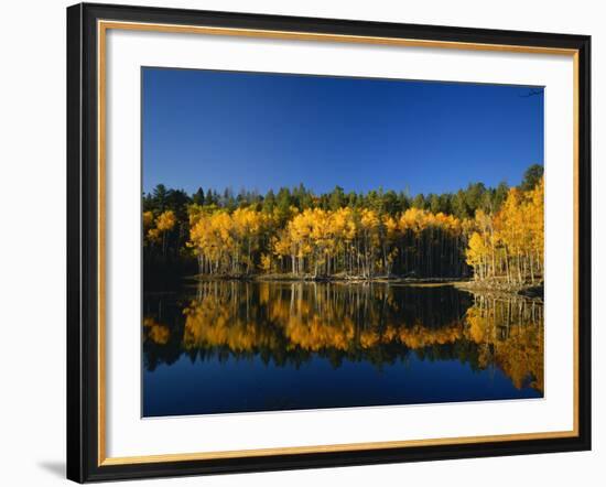Autumn Trees Reflecting in Lake, Flatiron Lake, Dixie National Forest, Utah, USA-Scott T^ Smith-Framed Photographic Print