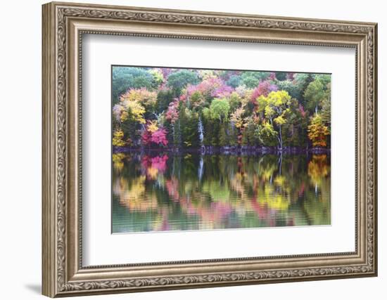 Autumn Trees, Reflection, Great Long Pond, Somesville, Mount Desert Island, Maine, Usa-Michel Hersen-Framed Photographic Print