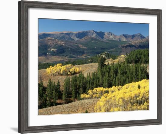 Autumn Trees with Mountains, Beartooth Highway, Colter Pass, Wyoming, USA-Walter Bibikow-Framed Photographic Print