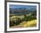 Autumn Trees with Mountains, Beartooth Highway, Colter Pass, Wyoming, USA-Walter Bibikow-Framed Photographic Print