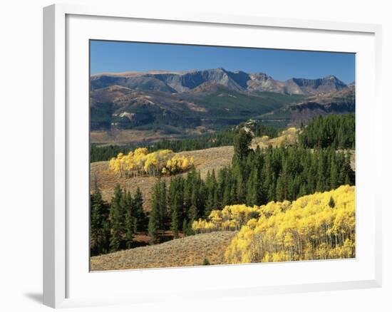 Autumn Trees with Mountains, Beartooth Highway, Colter Pass, Wyoming, USA-Walter Bibikow-Framed Photographic Print