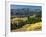 Autumn Trees with Mountains, Beartooth Highway, Colter Pass, Wyoming, USA-Walter Bibikow-Framed Photographic Print