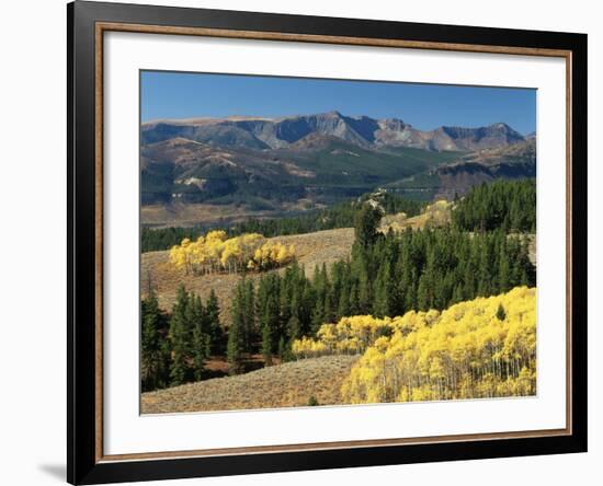 Autumn Trees with Mountains, Beartooth Highway, Colter Pass, Wyoming, USA-Walter Bibikow-Framed Photographic Print
