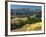 Autumn Trees with Mountains, Beartooth Highway, Colter Pass, Wyoming, USA-Walter Bibikow-Framed Photographic Print