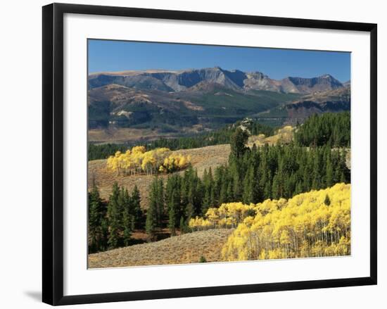 Autumn Trees with Mountains, Beartooth Highway, Colter Pass, Wyoming, USA-Walter Bibikow-Framed Photographic Print