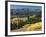 Autumn Trees with Mountains, Beartooth Highway, Colter Pass, Wyoming, USA-Walter Bibikow-Framed Photographic Print