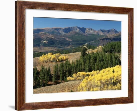 Autumn Trees with Mountains, Beartooth Highway, Colter Pass, Wyoming, USA-Walter Bibikow-Framed Photographic Print