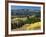 Autumn Trees with Mountains, Beartooth Highway, Colter Pass, Wyoming, USA-Walter Bibikow-Framed Photographic Print