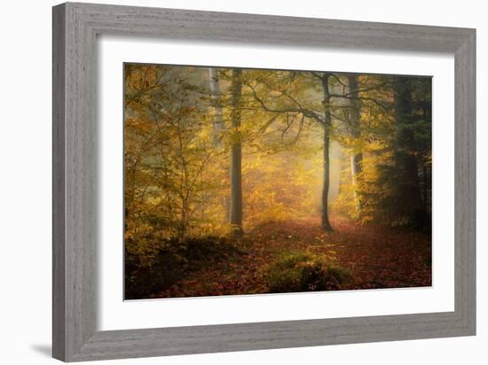 Autumn Trees-Norbert Maier-Framed Giclee Print