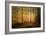 Autumn Trees-Norbert Maier-Framed Giclee Print