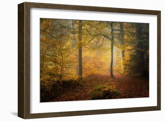 Autumn Trees-Norbert Maier-Framed Giclee Print