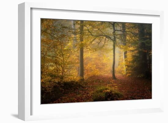 Autumn Trees-Norbert Maier-Framed Giclee Print