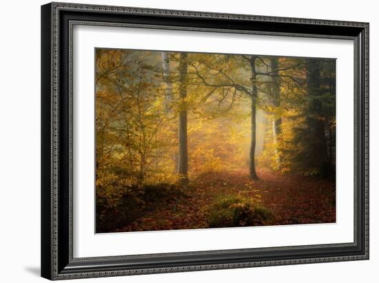 Autumn Trees-Norbert Maier-Framed Giclee Print